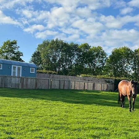 Wee Shepherds Hut Maybole Villa Esterno foto