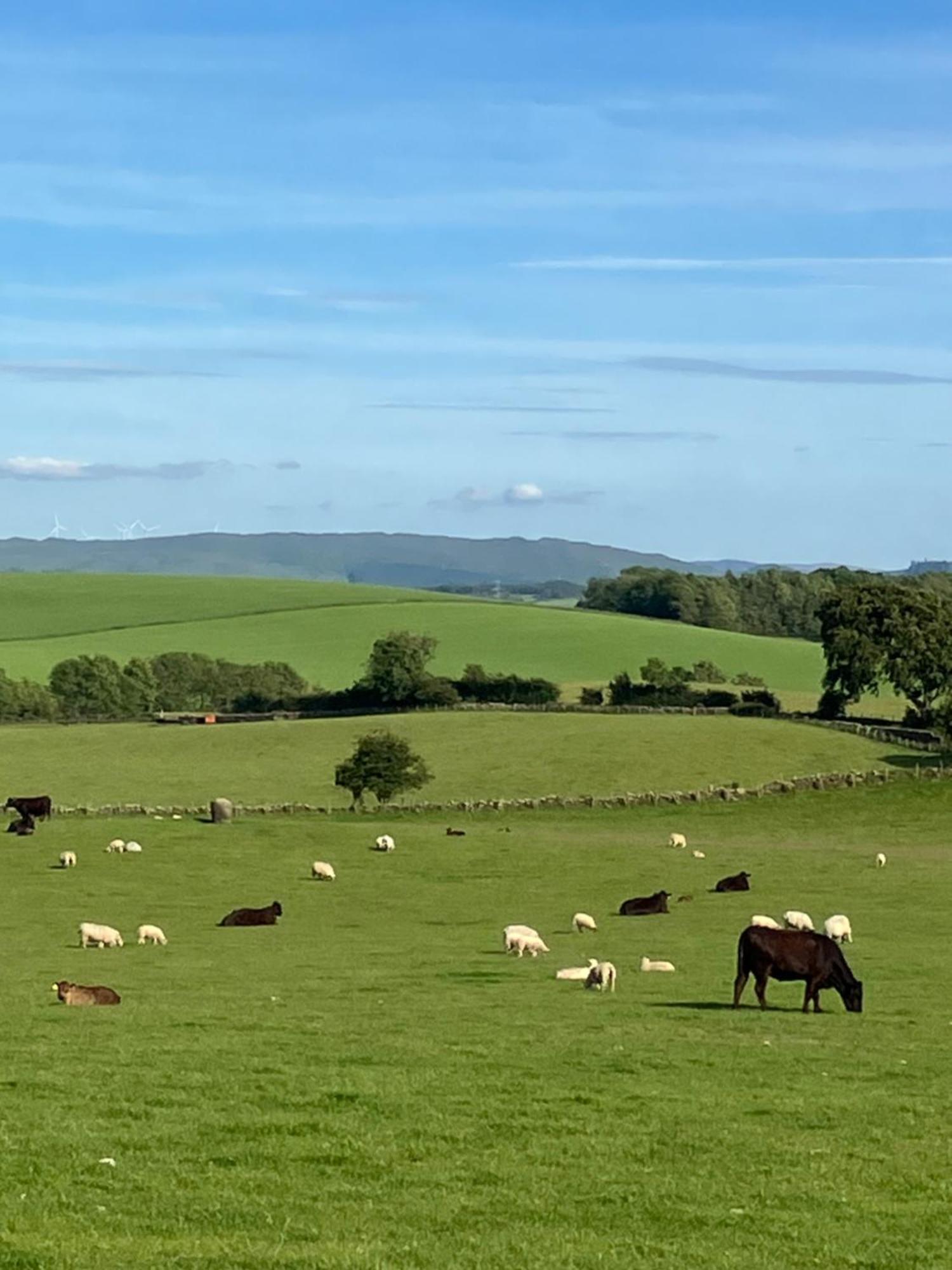 Wee Shepherds Hut Maybole Esterno foto